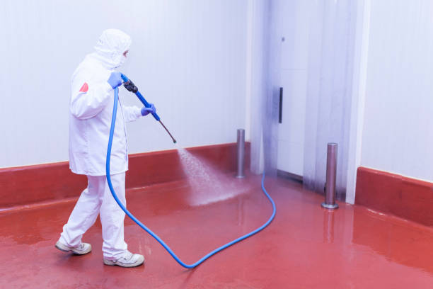 Professional  Pressure Washing Services in Waite Park, MN