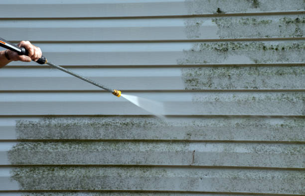 Best Fence Cleaning  in Waite Park, MN